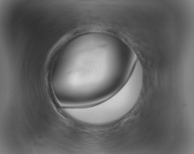 X0000083580197200702090850