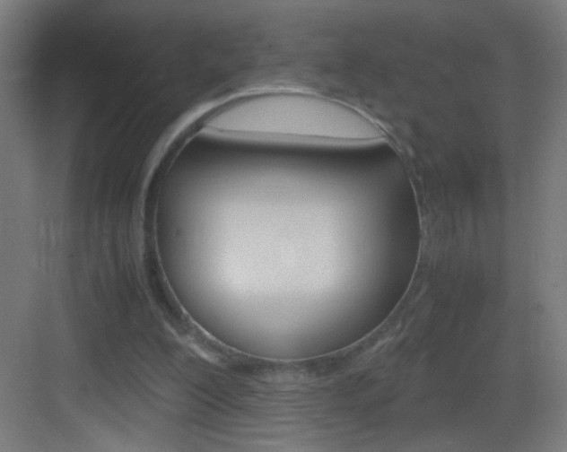 X0000083580200200702090850