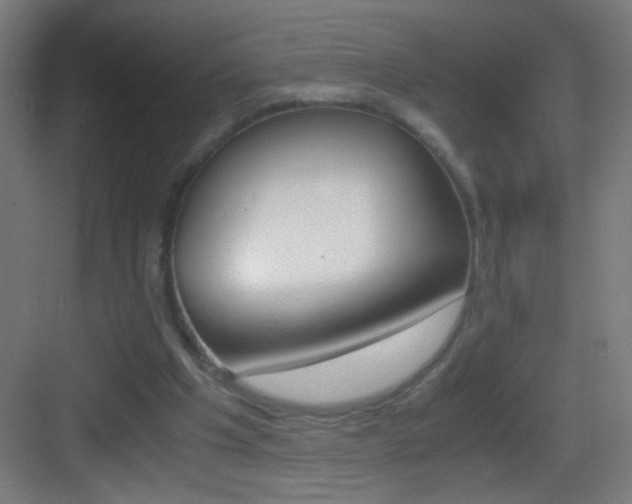 X0000083580201200702090850