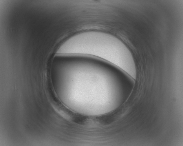 X0000083580207200702090850
