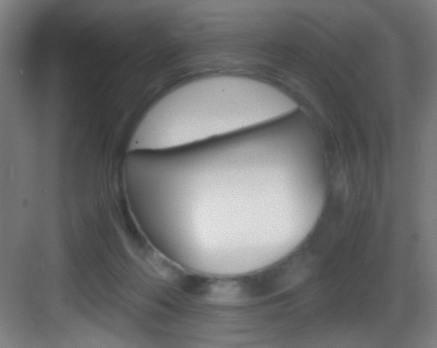 X0000083580214200702090849