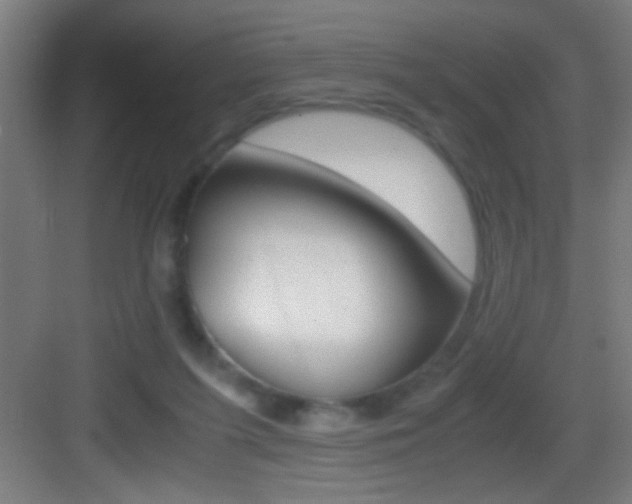 X0000083580215200702090849