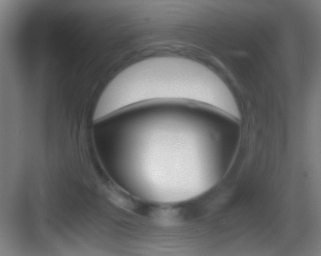 X0000083580217200702090849