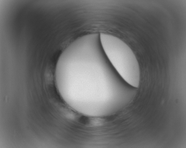 X0000083580226200702090849