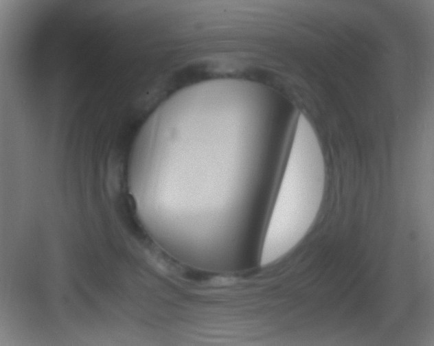 X0000083580227200702090849