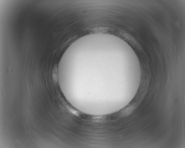 X0000083580240200702090849