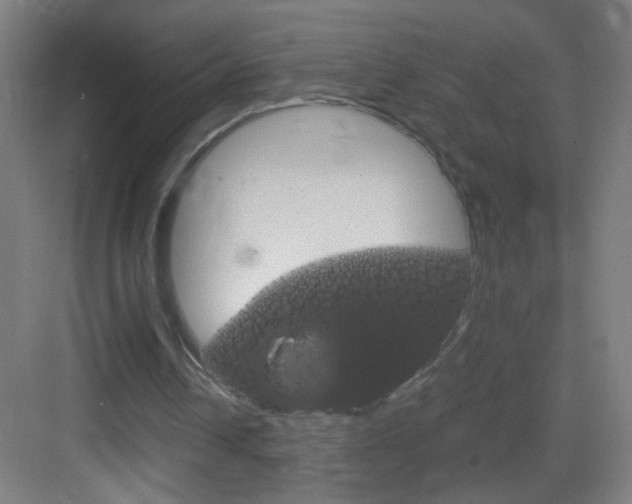 X0000083580242200702090848