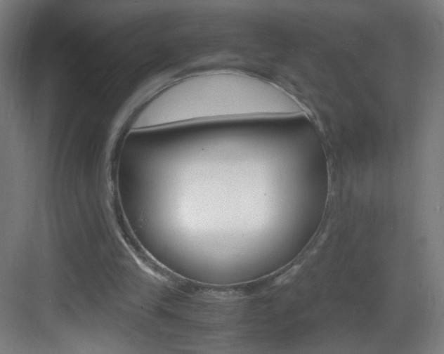 X0000083580245200702090848