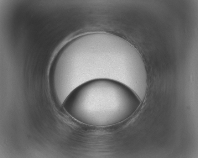 X0000083580246200702090848