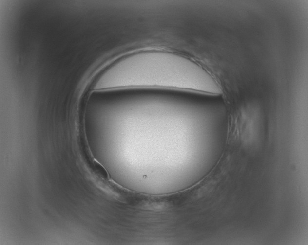 X0000083580247200702090848