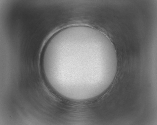 X0000083580248200702090848