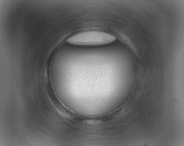 X0000083580251200702090848
