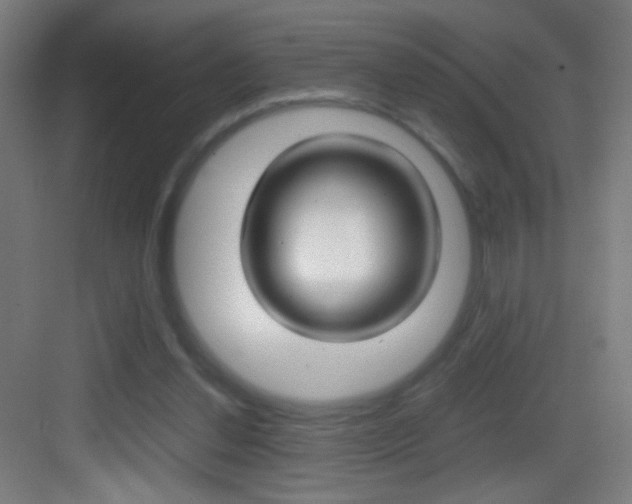 X0000083580252200702090848