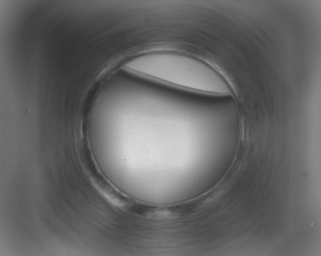 X0000083580253200702090848