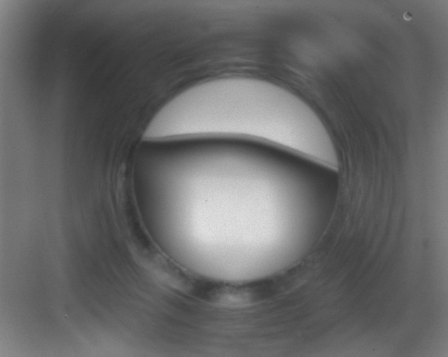 X0000083580263200702090849