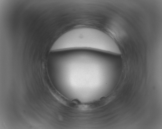 X0000083580265200702090849