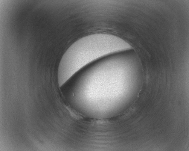 X0000083580282200702090849