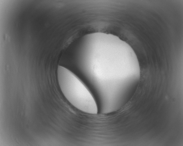 X0000083580286200702090849