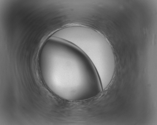 X0000083580289200702090848