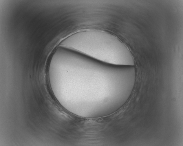X0000083580290200702090848