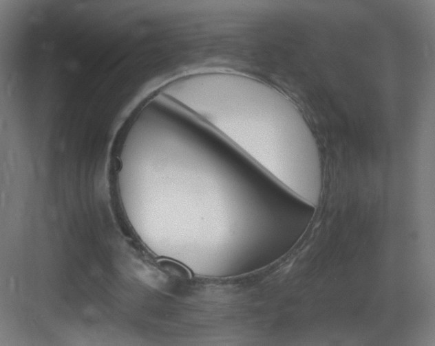 X0000083580292200702090848
