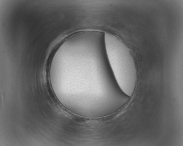 X0000083580294200702090848
