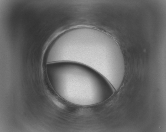 X0000083580296200702090848