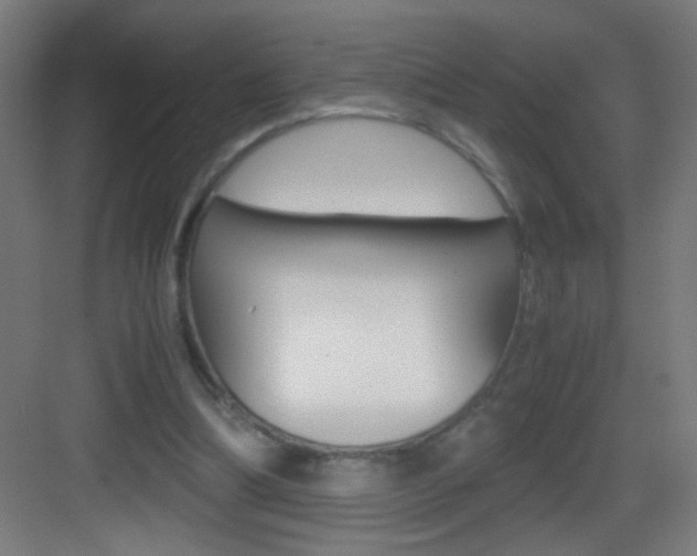 X0000083580298200702090848