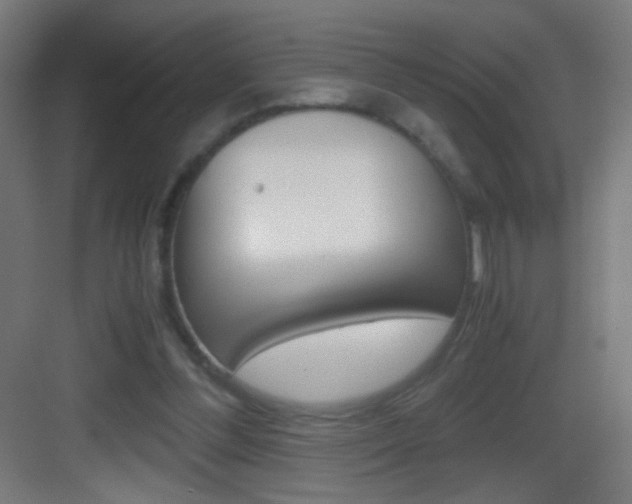 X0000083580300200702090848