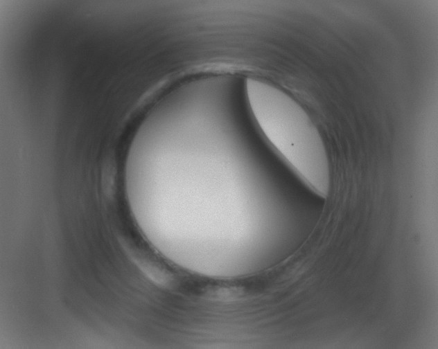 X0000083580304200702090848