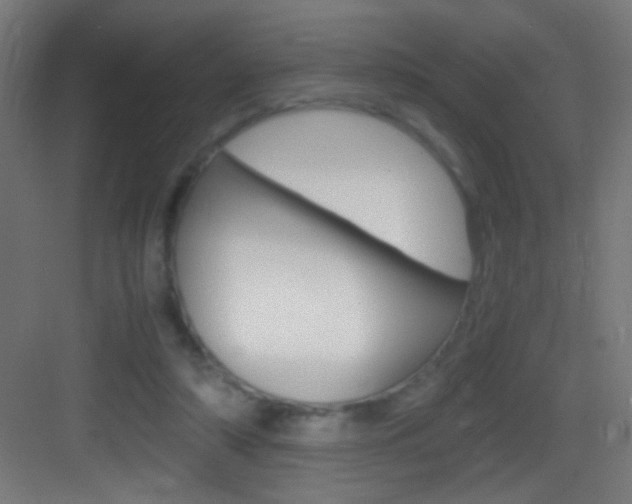X0000083580306200702090848