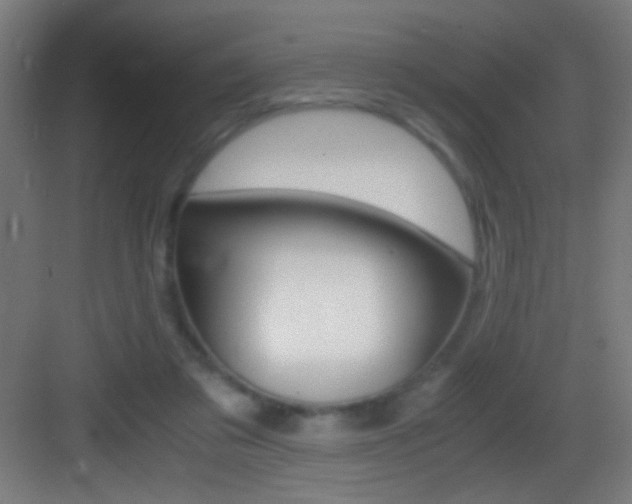 X0000083580309200702090848