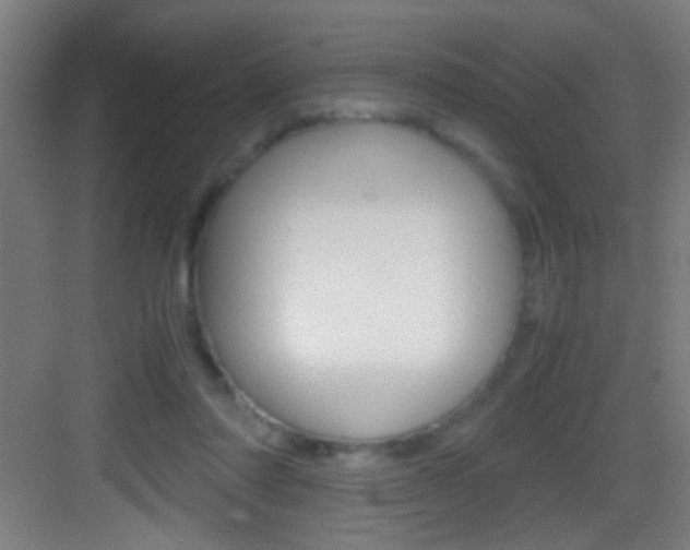 X0000083580310200702090848