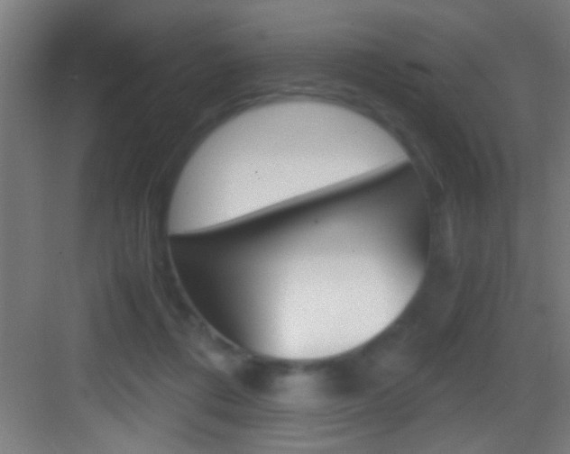 X0000083580312200702090848
