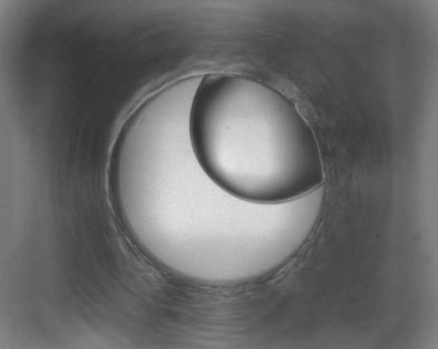 X0000083580340200702090847