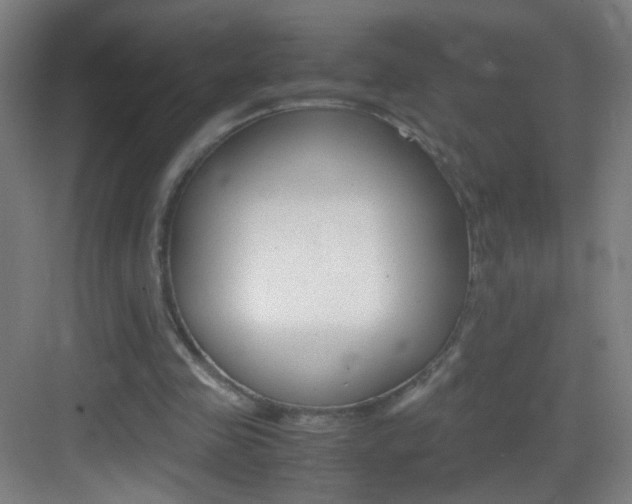 X0000083580341200702090847