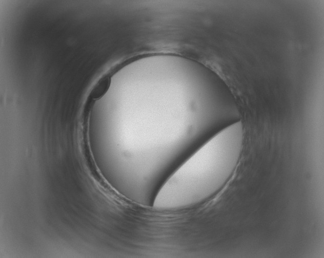 X0000083580342200702090847