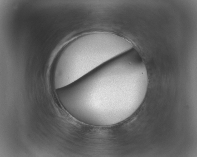 X0000083580343200702090847