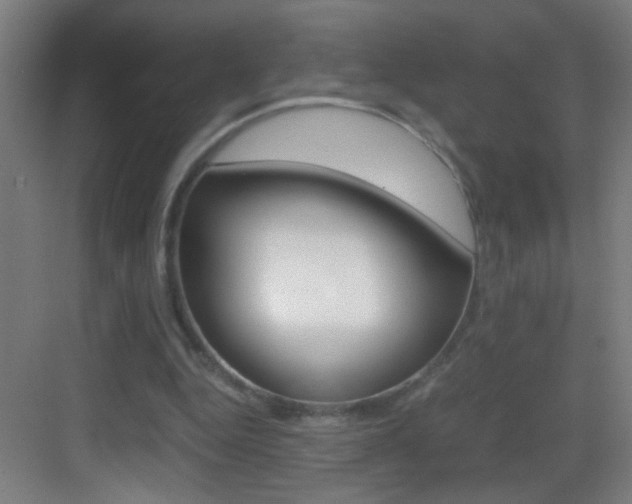 X0000083580344200702090847