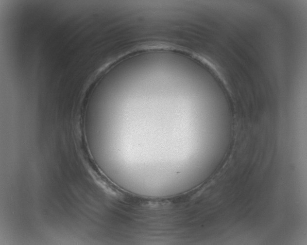 X0000083580345200702090847