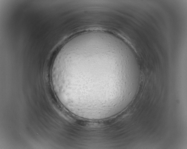 X0000083580347200702090847