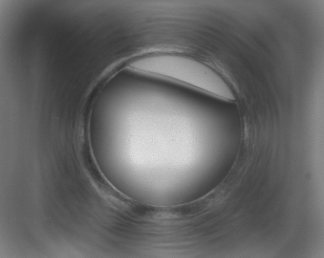 X0000083580348200702090847