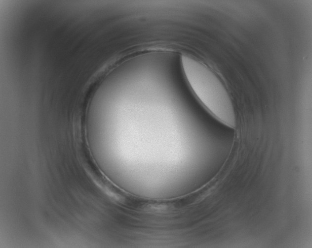 X0000083580349200702090847