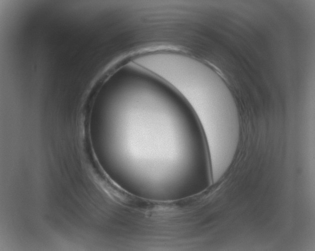 X0000083580350200702090847
