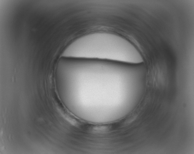 X0000083580357200702090847