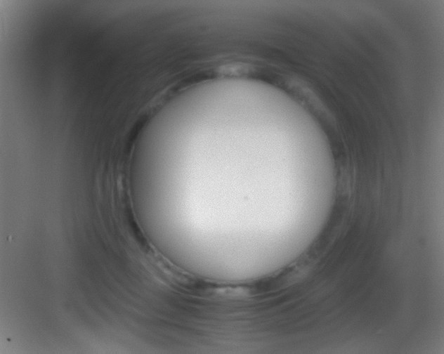 X0000083580363200702090847