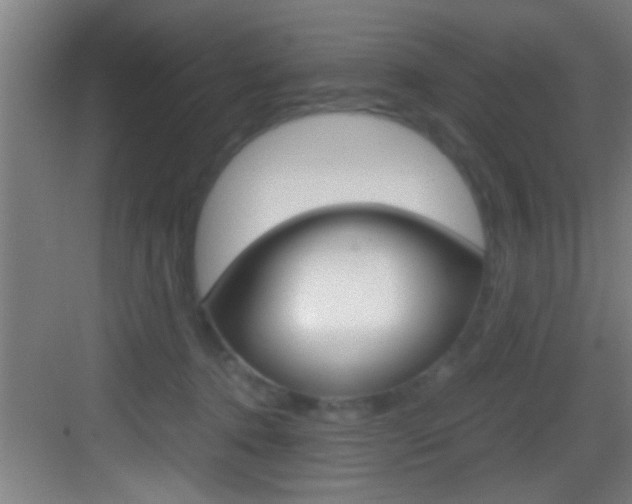 X0000083580368200702090847