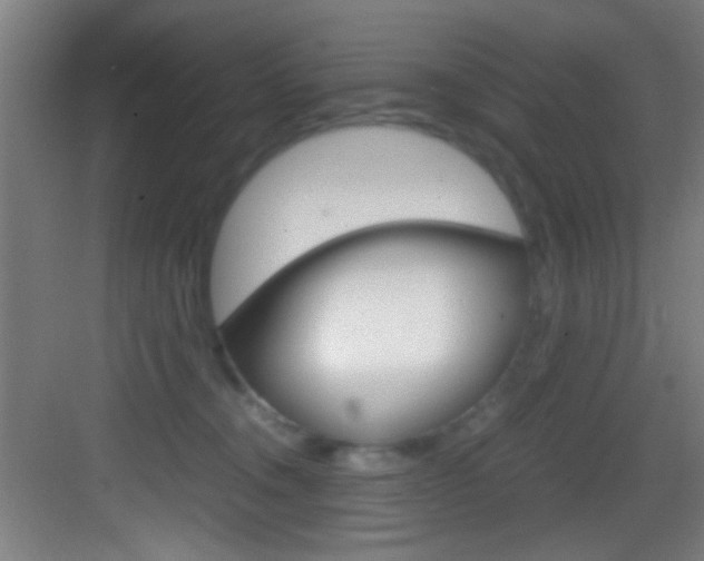 X0000083580372200702090847