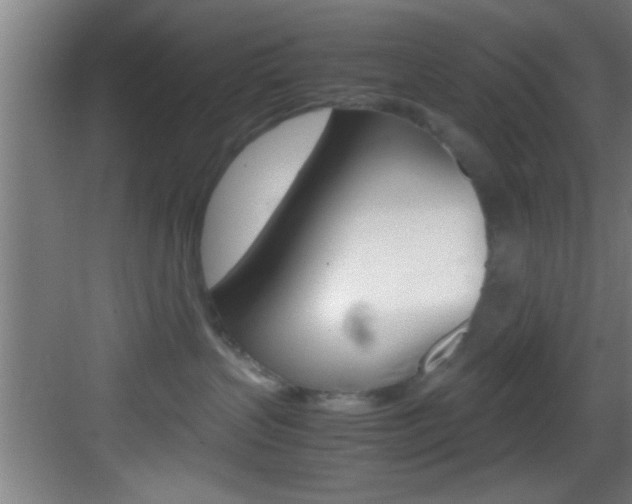 X0000083580383200702090847