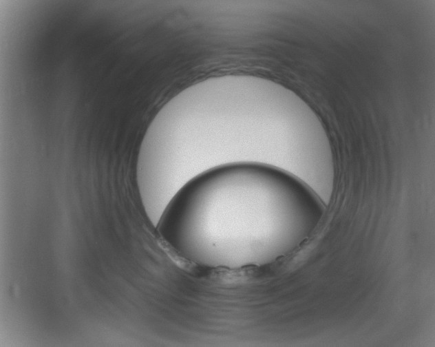 X0000083580384200702090847